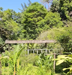 Finca el Pilar